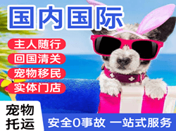 成都天府航空空运国际宠物托运 【国